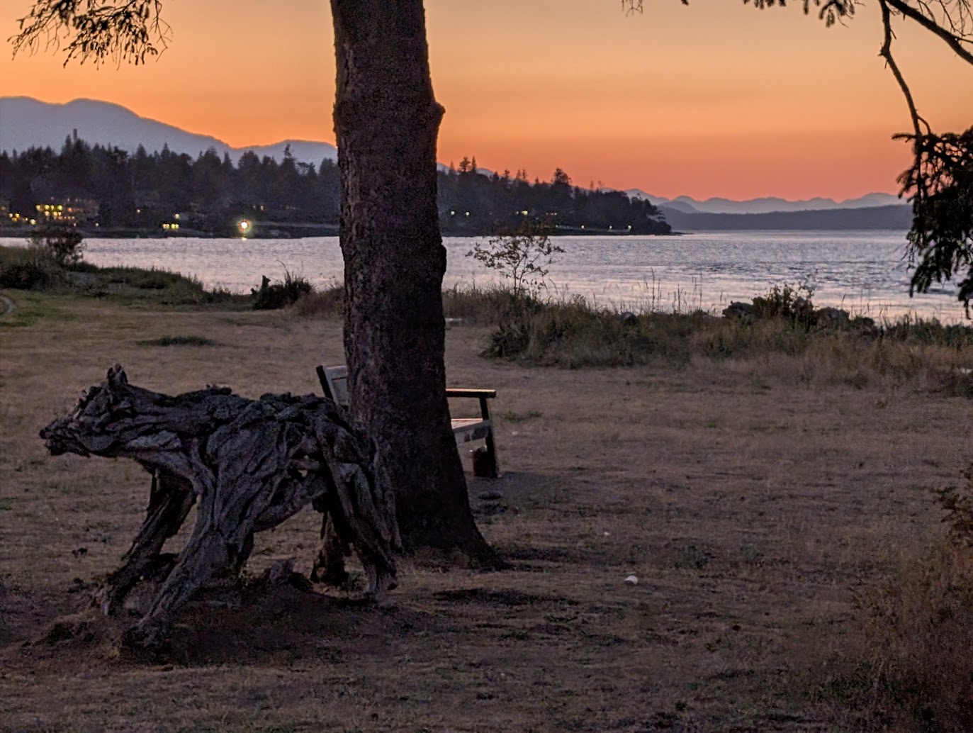 Summer End-of-Term Update: Teaching, Research, and What’s Next