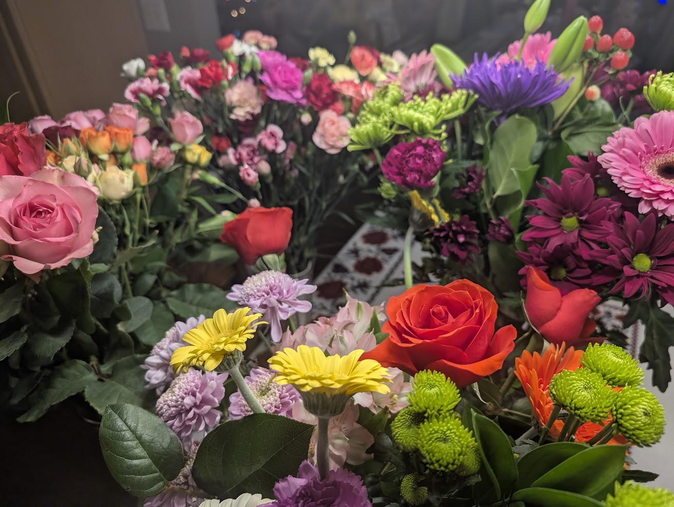 When Truth, Care, and Equality Grow Together, Humanity Blooms